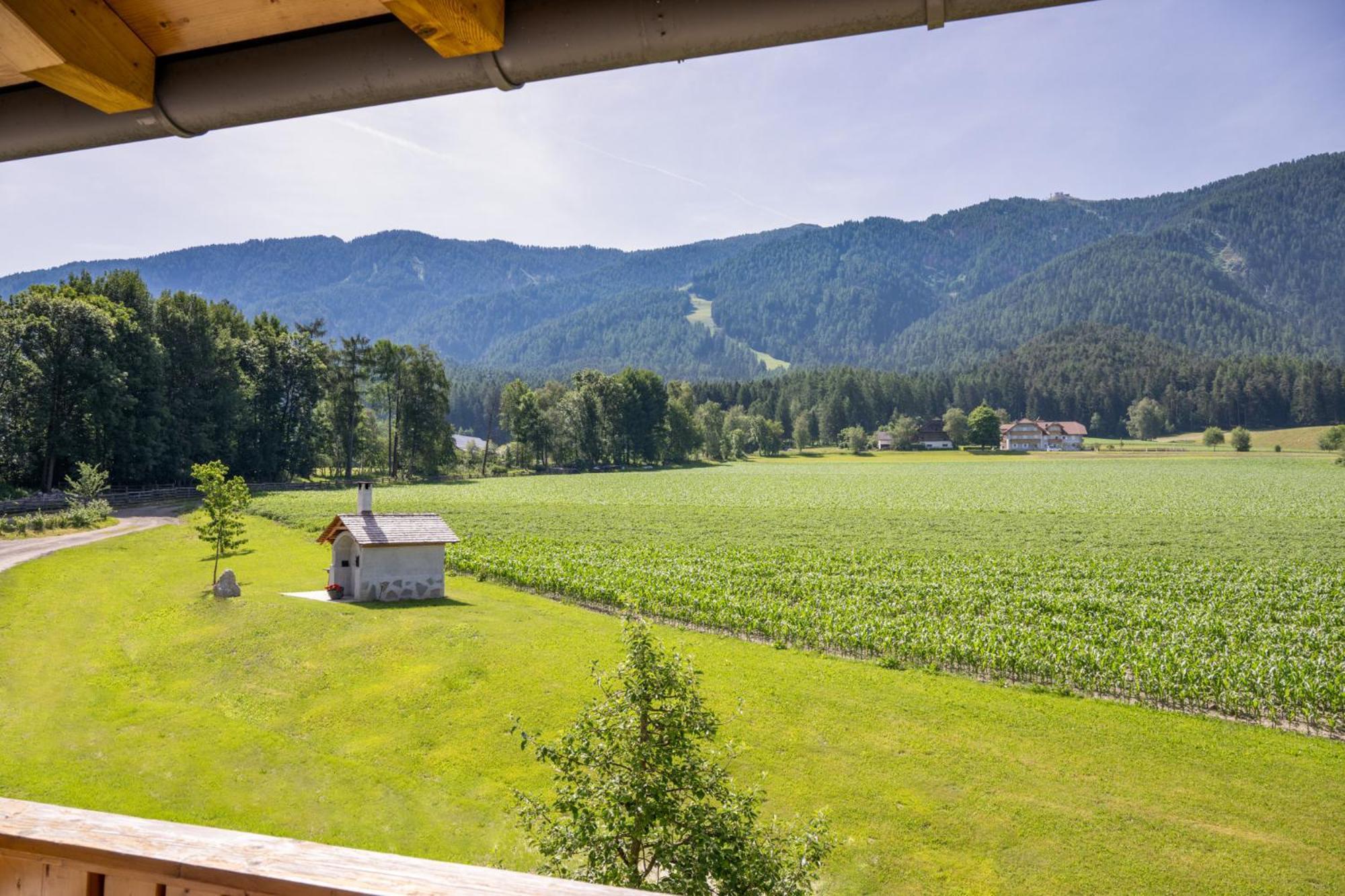 Ferienwohnung Mair Am Bach Brunico Exterior foto